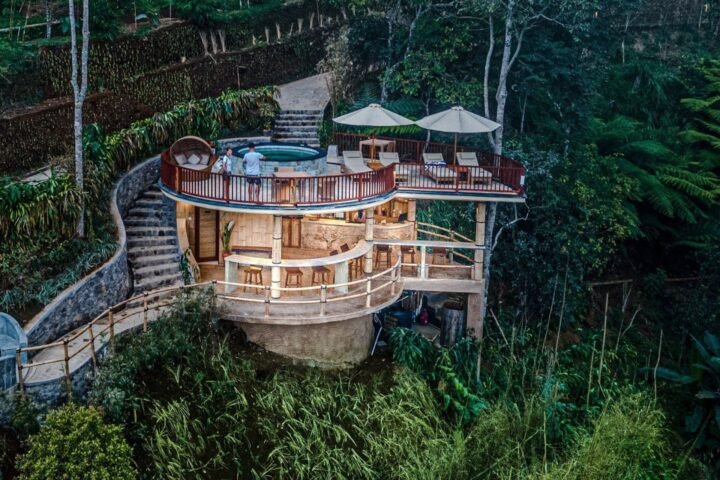 Bar in the Jungle