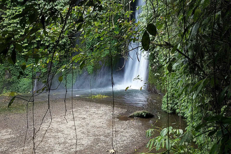 Munduk Waterfalls Trekking Point: A Guide to Scenic Trails and Views