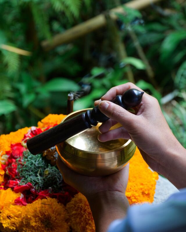 Experience a rejuvenating yoga practice at our new Yoga Hut, nestled in the forest beside a gently flowing stream. Relax your mind to the calming tones of a singing bowl, where each reverberating note instills a feeling of tranquility and inner peace🧘🏻‍♀️
.
.
.
.
.
#mundukmodingplantation #munduk #mmp #northbali #balinature #exoticbali #explorebali #natureescapebali #beautifuldestinations #realbali #sustainablebali #baliyoga #retreatbali #yogaretreatbali