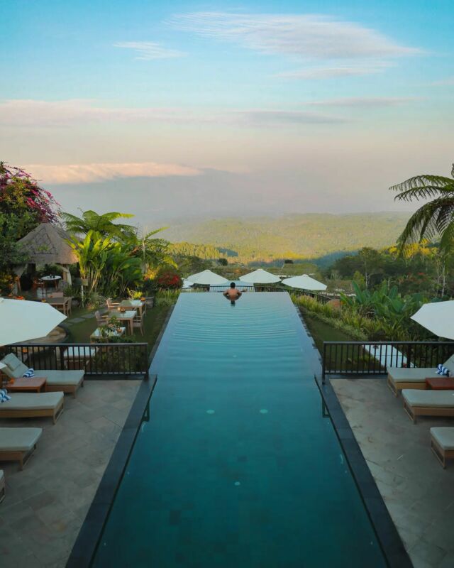 Dive into paradise at MMP. Our main pool, recognized among the world's top 10 by Asia Spa, invites you to lose yourself in breathtaking views and unparalleled serenity. Immerse yourself in the infinity and experience relaxation redefined.
.
.
.
.
.
#mundukmodingplantation #munduk #mmp #coffeeplantationresort #northbali #infinityviews #balibucketlist #traveltobali #resortlife #beautifuldestinations #wheninbali #natureescapebali