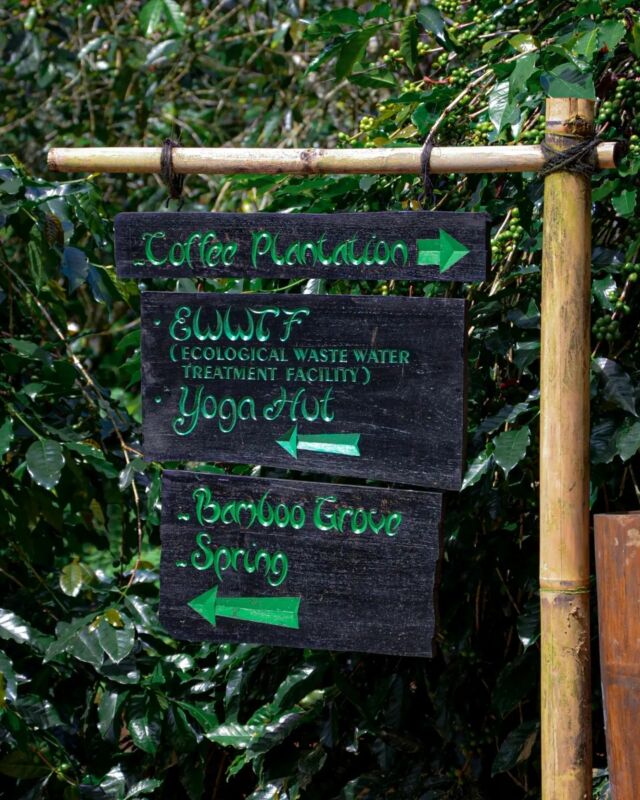 Calling all coffee enthusiasts! ☕️ Immerse yourself in the magic of the harvest at Munduk Moding. Join our Coffee Plantation Tour (May-July) and witness the journey from bean to cup. Unforgettable memories await!
.
.
.
.
.
#mundukmodingplantation #munduk #mmp #coffeeplantationresort #northbali #natureescapebali #balicoffee #mundukcoffee #sustainablebali #organiccoffee
