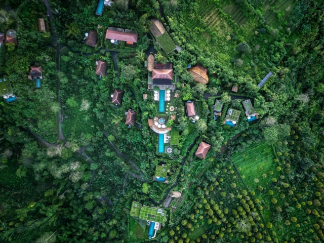 Let the jungle be your escape, where time slows down and nature heals.
.
.
.
.
.
#mundukmodingplantation #munduk #mmp #coffeeplantationresort #northbali #ecoresortbali #balibucketlist #traveltobali #bestinfinitypoolbali #infinitypool #travelinspiration #luxuryresort #luxuryresort #luxuryinnature